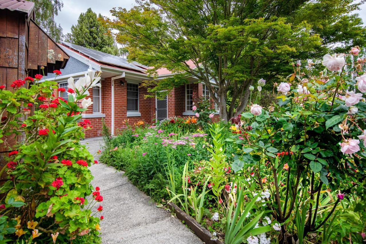 Alexandria Bed And Breakfast Wynyard Exterior foto